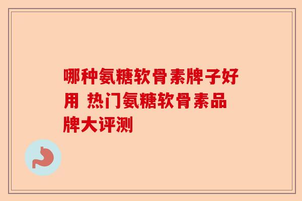 哪种氨糖软骨素牌子好用 热门氨糖软骨素品牌大评测
