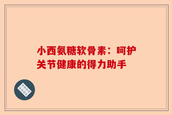 小西氨糖软骨素：呵护关节健康的得力助手