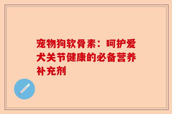 宠物狗软骨素：呵护爱犬关节健康的必备营养补充剂