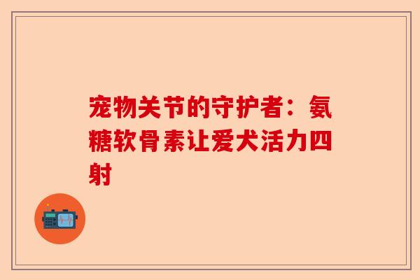 宠物关节的守护者：氨糖软骨素让爱犬活力四射