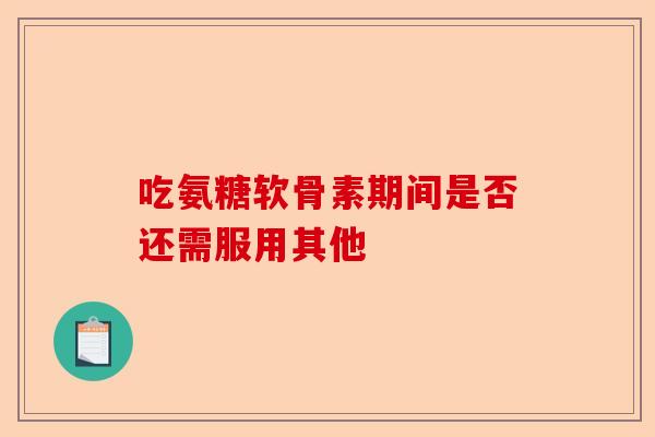 吃氨糖软骨素期间是否还需服用其他 吃氨糖软骨素期间是否还需服用其他