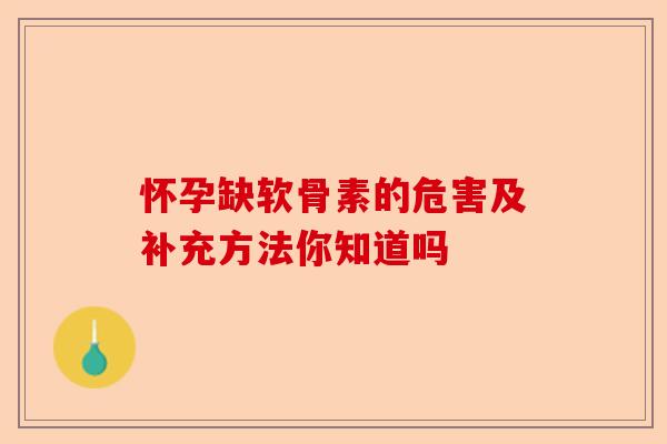 怀孕缺软骨素的危害及补充方法你知道吗