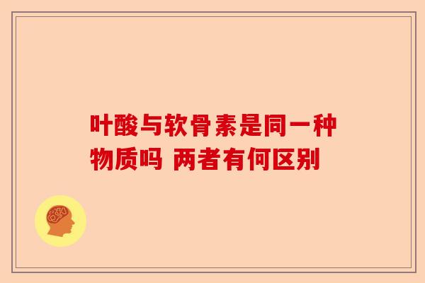 叶酸与软骨素是同一种物质吗 两者有何区别 叶酸与软骨素是同一种物质吗 两者有何区别