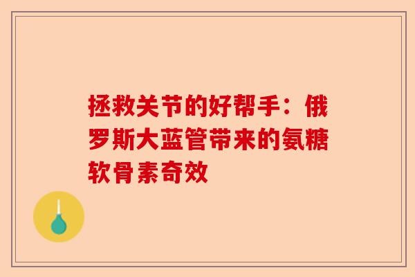 拯救关节的好帮手:俄罗斯大蓝管带来的氨糖软骨素奇效 拯救关节的好帮手:俄罗斯大蓝管带来的氨糖软骨素奇效