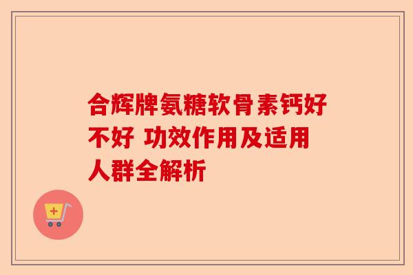 合辉牌氨糖软骨素钙好不好 功效作用及适用人群全解析
