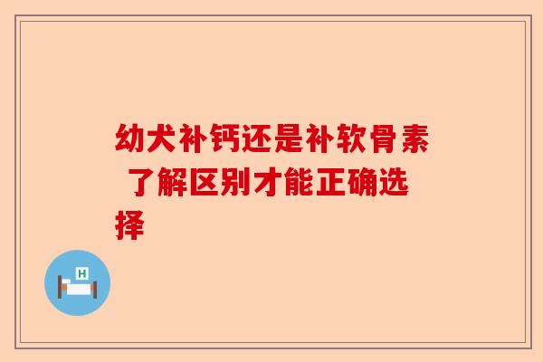 幼犬补钙还是补软骨素 了解区别才能正确选择