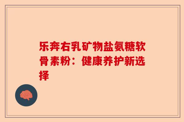 乐奔右乳矿物盐氨糖软骨素粉：健康养护新选择