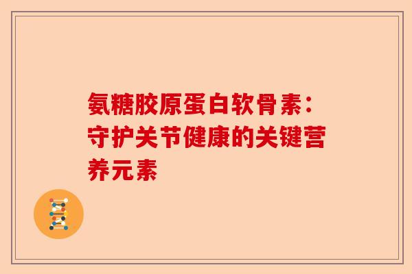 氨糖胶原蛋白软骨素：守护关节健康的关键营养元素