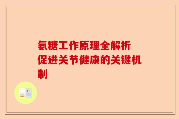氨糖工作原理全解析 促进关节健康的关键机制 氨糖工作原理全解析 促进关节健康的关键机制