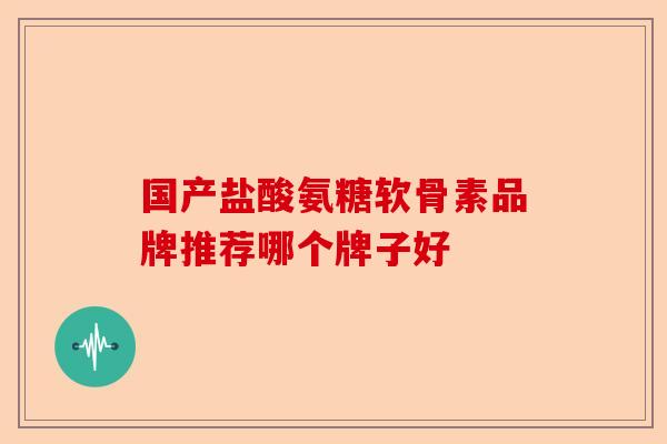 国产盐酸氨糖软骨素品牌推荐哪个牌子好