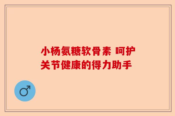 小杨氨糖软骨素 呵护关节健康的得力助手
