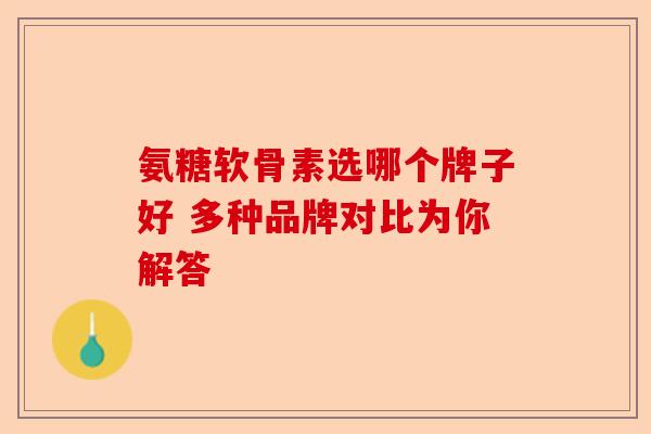 氨糖软骨素选哪个牌子好 多种品牌对比为你解答