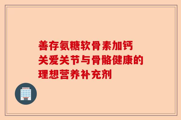 善存氨糖软骨素加钙 关爱关节与骨骼健康的理想营养补充剂