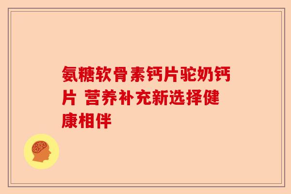 氨糖软骨素钙片驼奶钙片 营养补充新选择健康相伴