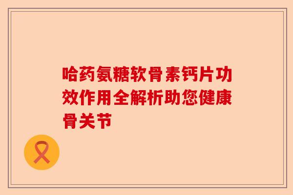 哈药氨糖软骨素钙片功效作用全解析助您健康骨关节