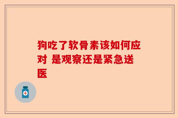 狗吃了软骨素该如何应对 是观察还是紧急送医