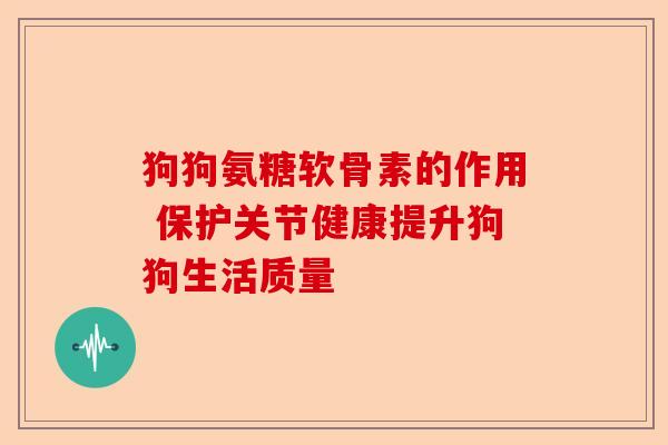 狗狗氨糖软骨素的作用 保护关节健康提升狗狗生活质量