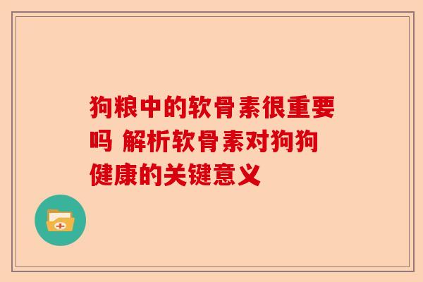 狗粮中的软骨素很重要吗 解析软骨素对狗狗健康的关键意义