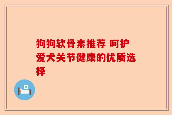 狗狗软骨素推荐 呵护爱犬关节健康的优质选择