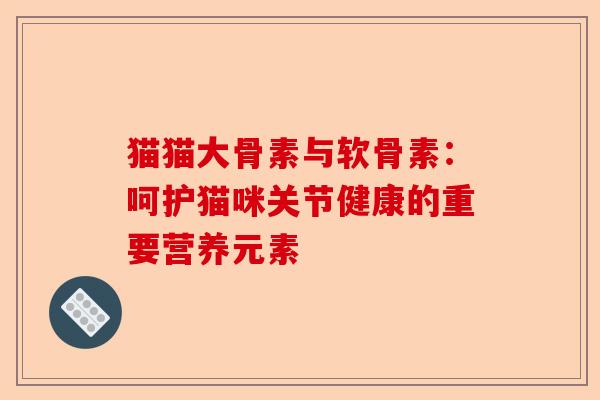 猫猫大骨素与软骨素：呵护猫咪关节健康的重要营养元素