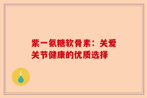 紫一氨糖软骨素:关爱关节健康的优质选择 紫一氨糖软骨素:关爱关节健康的优质选择