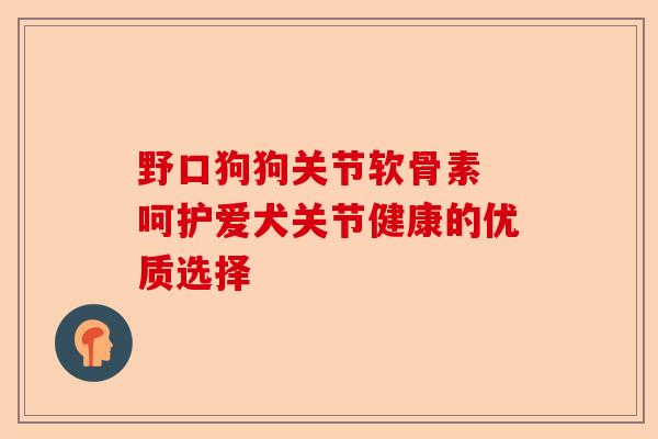 野口狗狗关节软骨素 呵护爱犬关节健康的优质选择