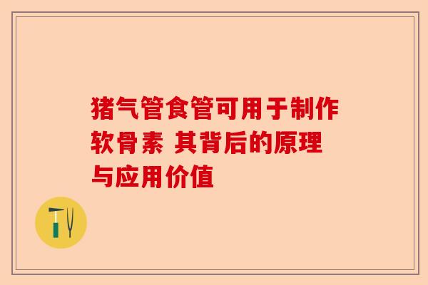 猪气管食管可用于制作软骨素 其背后的原理与应用价值